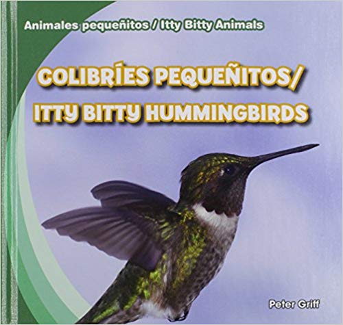 Colibries Pequenitos/Itty Bitty Hummingbirds