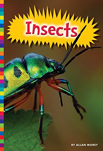 Insects