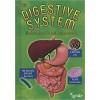 Your Digestive System: Understand It with Numbers