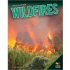 Wildfires